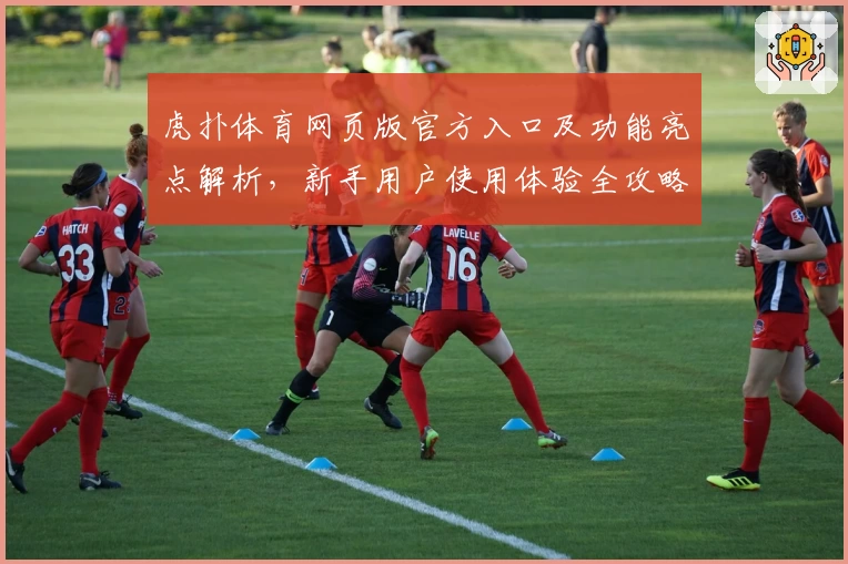 虎扑体育网页版官方入口及功能亮点解析，新手用户使用体验全攻略
