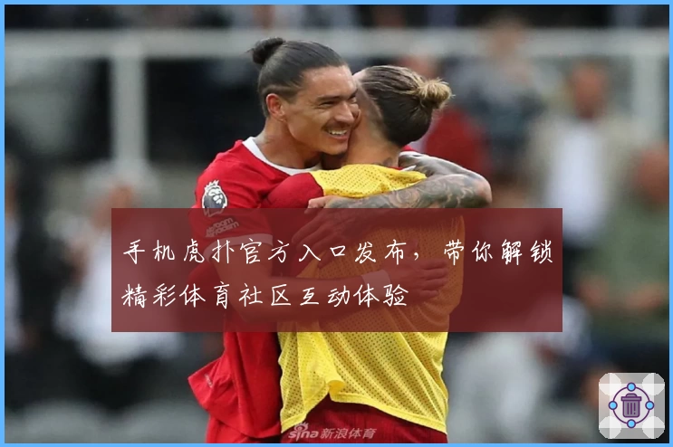 手机虎扑官方入口发布，带你解锁精彩体育社区互动体验