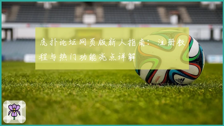 虎扑论坛网页版新人指南：注册教程与热门功能亮点详解