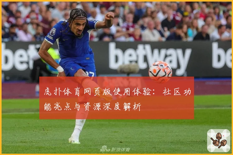 虎扑体育网页版使用体验：社区功能亮点与资源深度解析